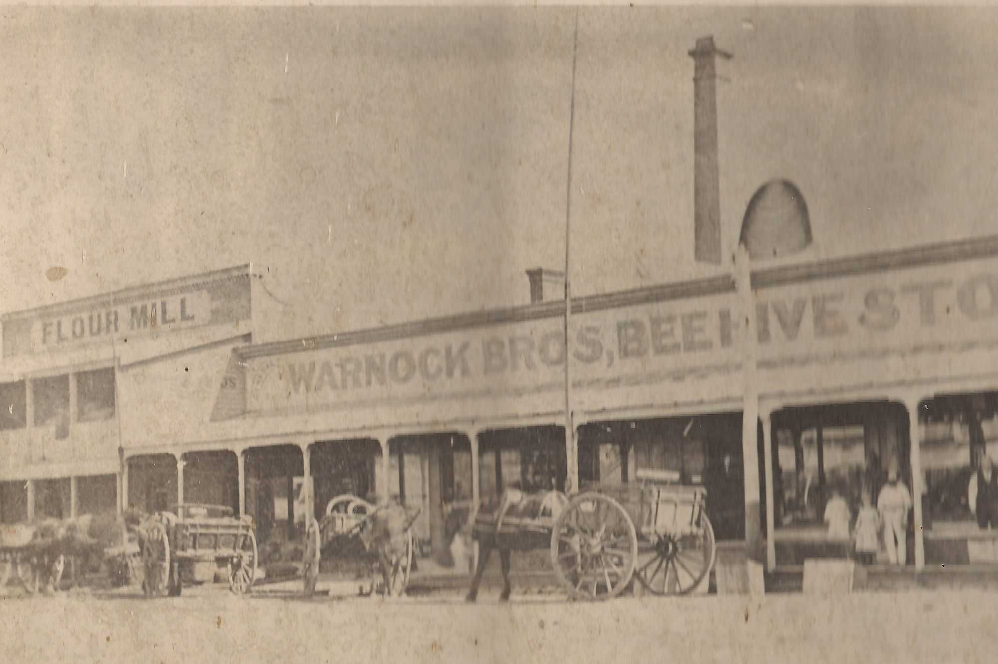 Warnock's Flour Mill, 1873