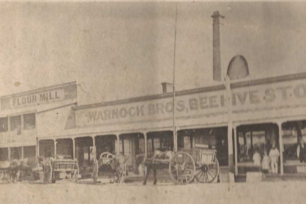 Warnock's Flour Mill, 1873